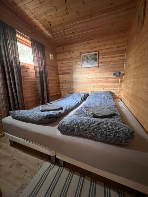 Cozy And Spacious Cabin Svensby المظهر الخارجي الصورة
