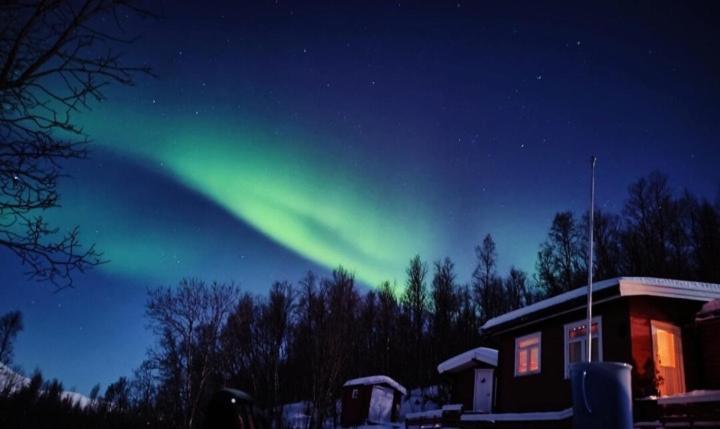 Cozy And Spacious Cabin Svensby المظهر الخارجي الصورة